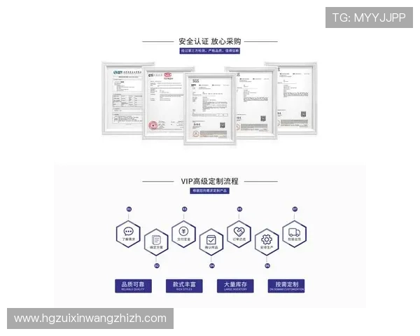 最新版hga010网页登录入口全面解析确保用户体验提升技巧分享
